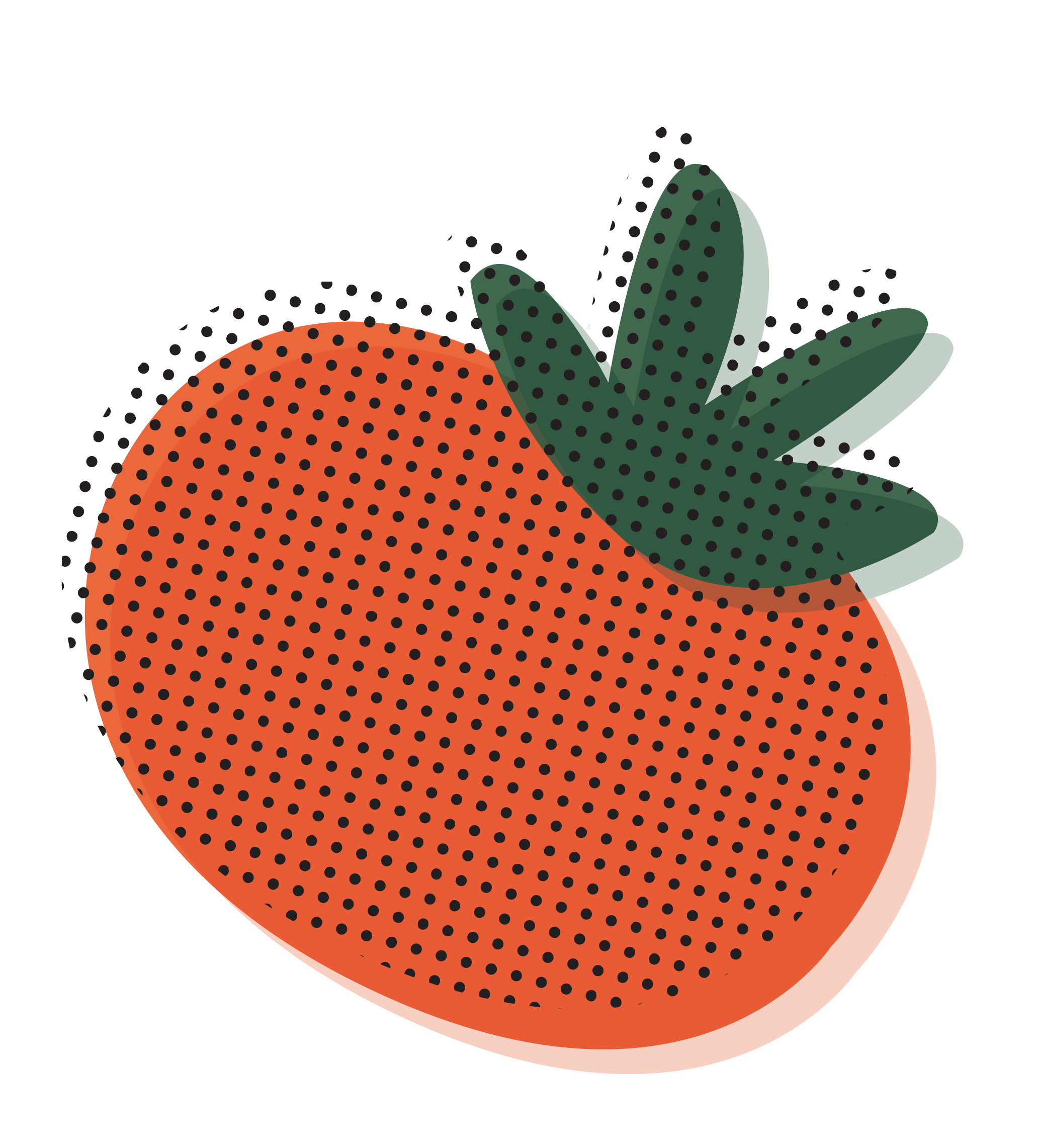 What is the VEGANTOX Challenge?