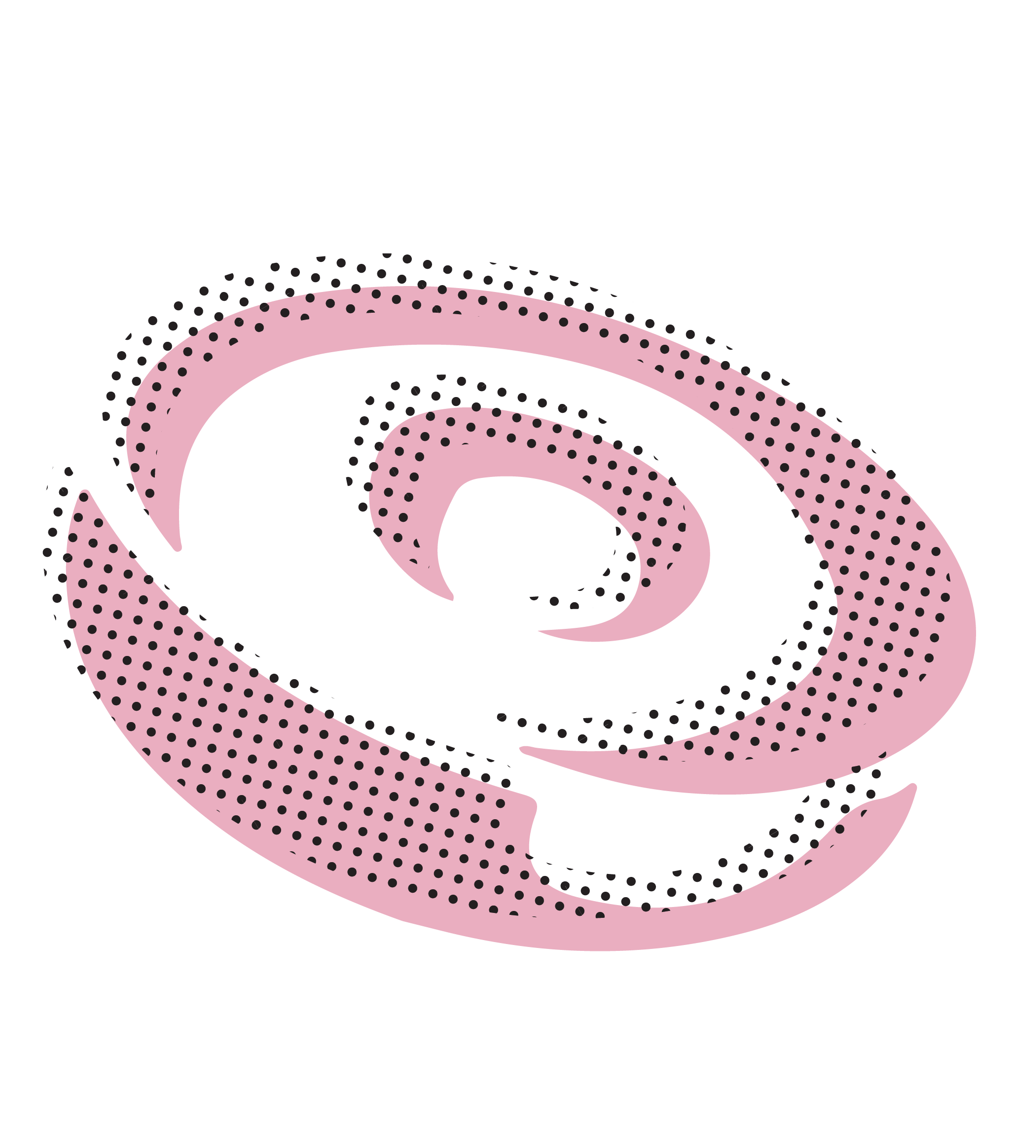 What is the Protein Blitz Diet?