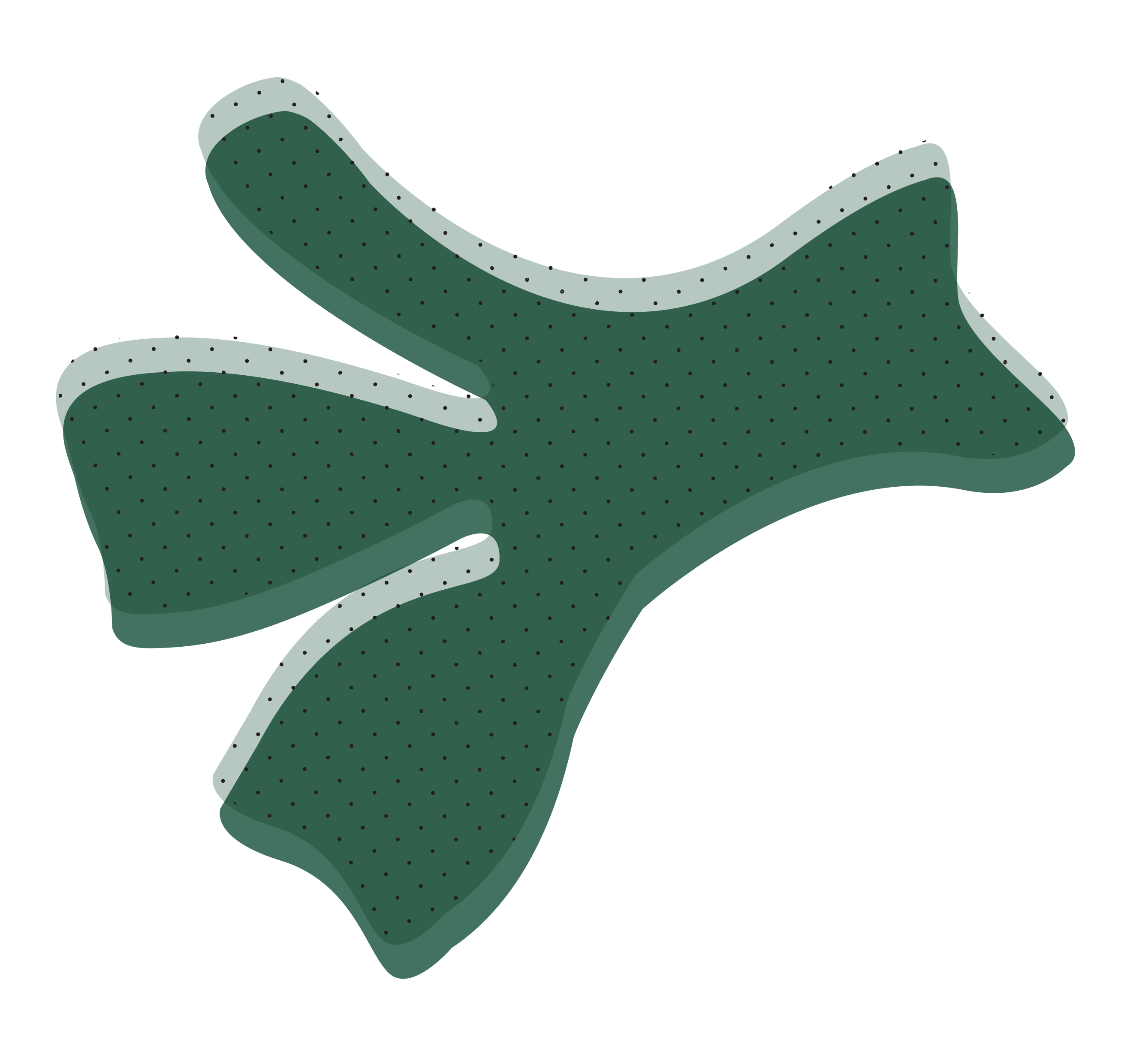 What is the Vegan Diet?