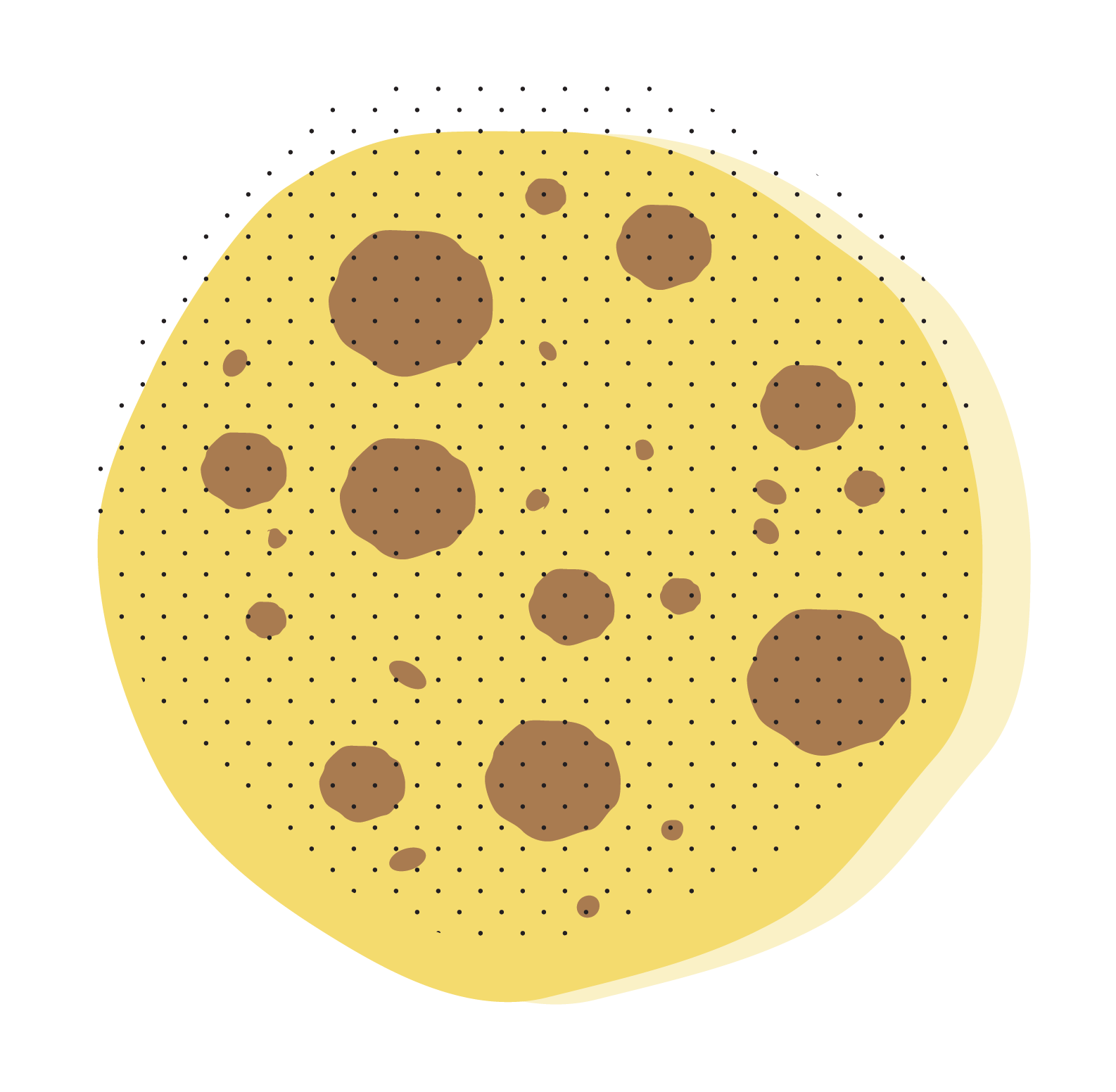 What is the Low Calorie, Traditional Diet?