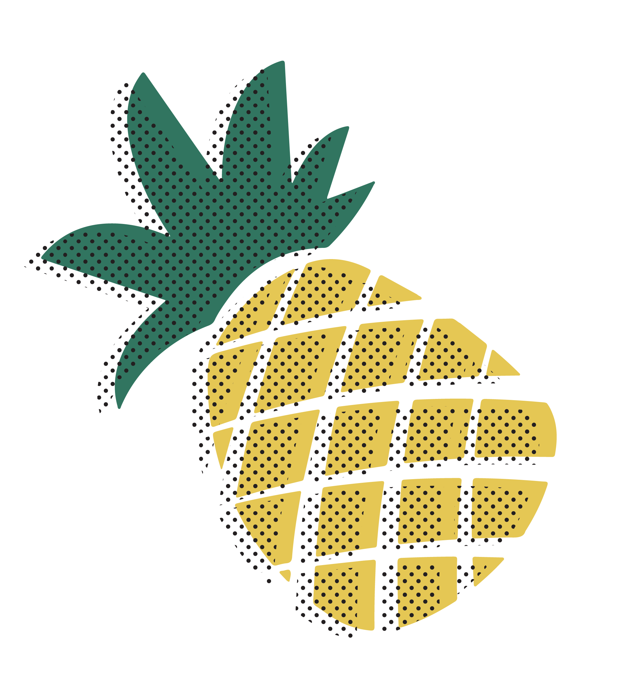 What is the RAWTOX Challenge?