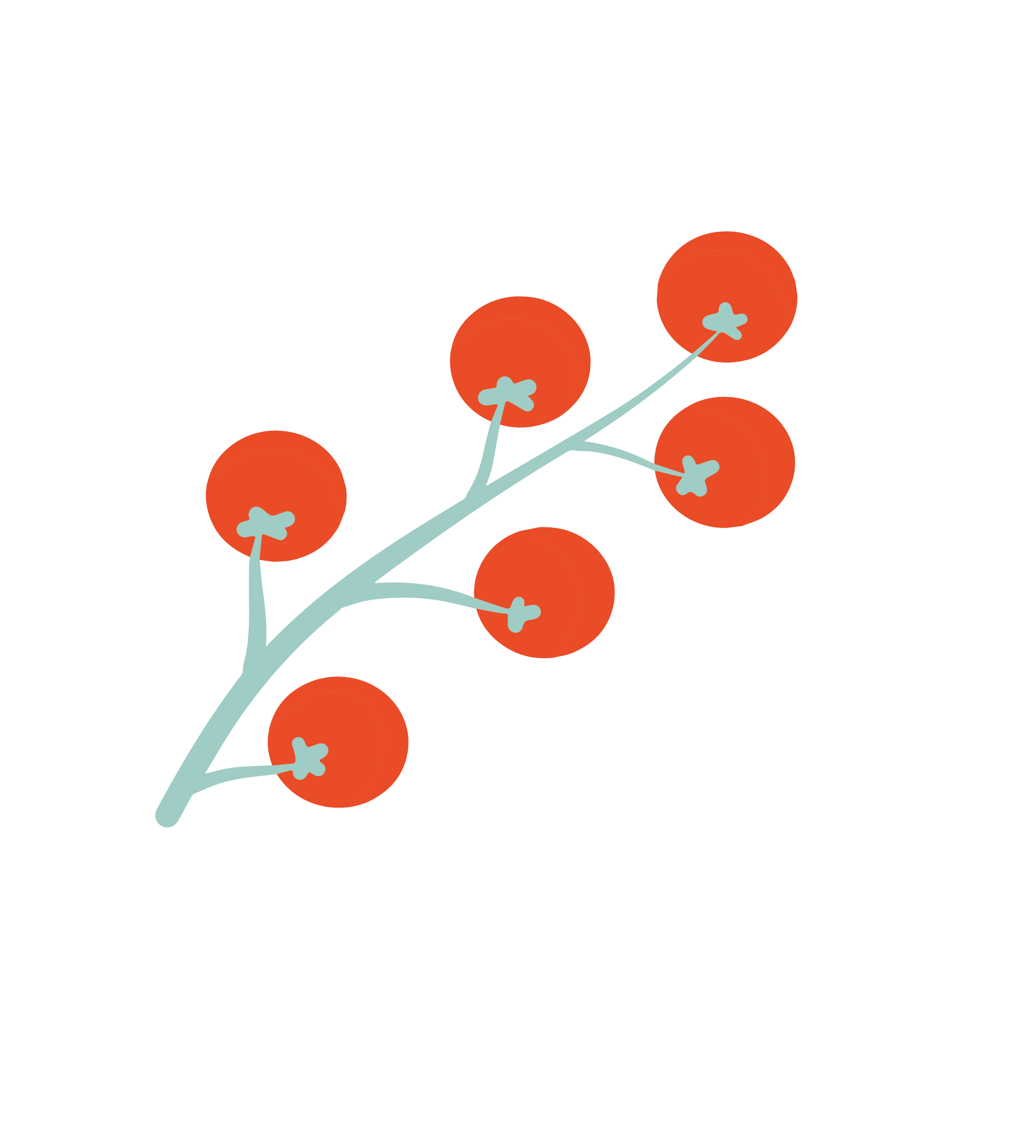 What is the PROTOX Challenge?