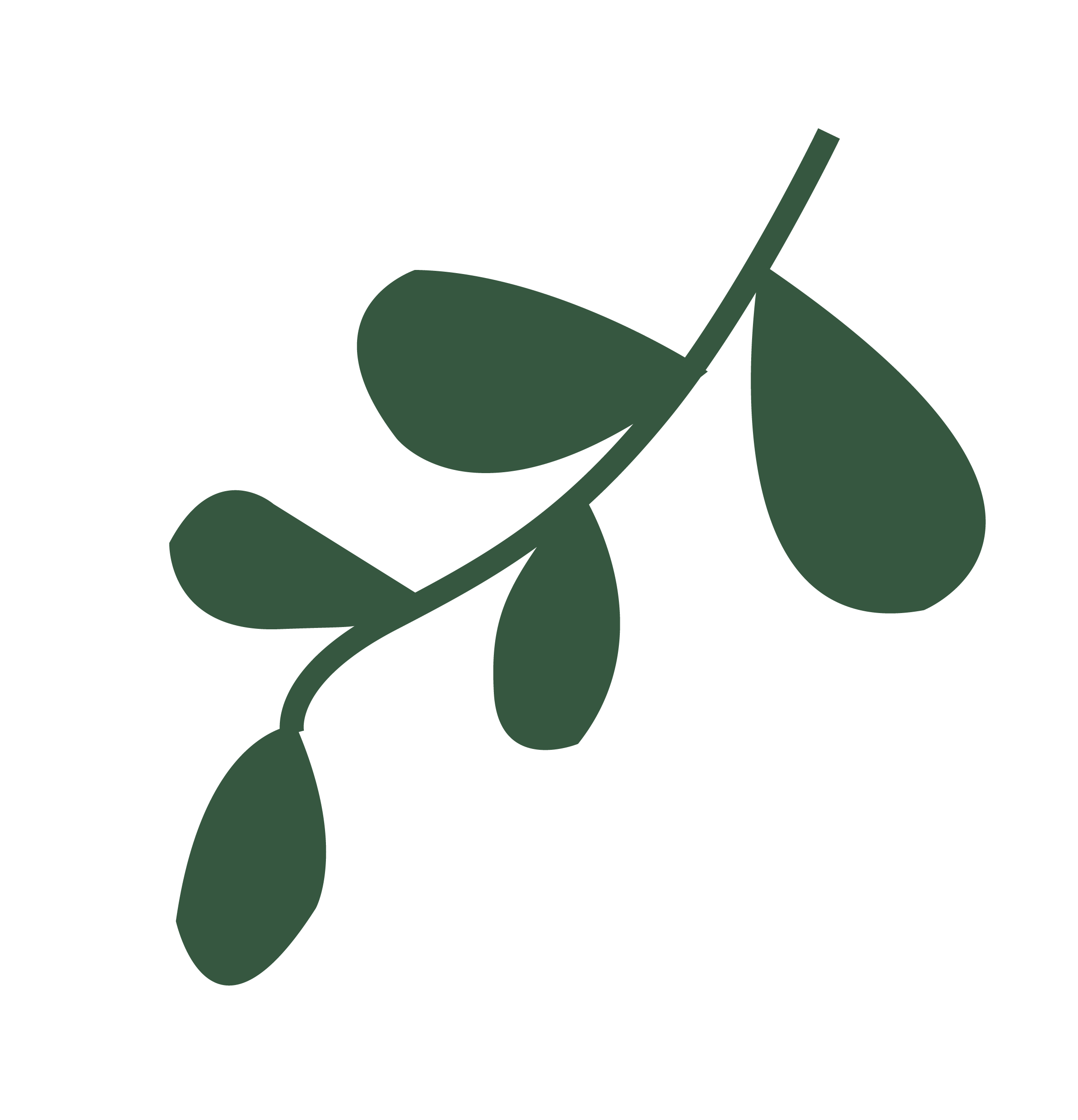 What is the Healthy Keto Diet?